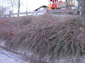So wurde der Spielplatz übernommen